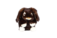 Hase klein 